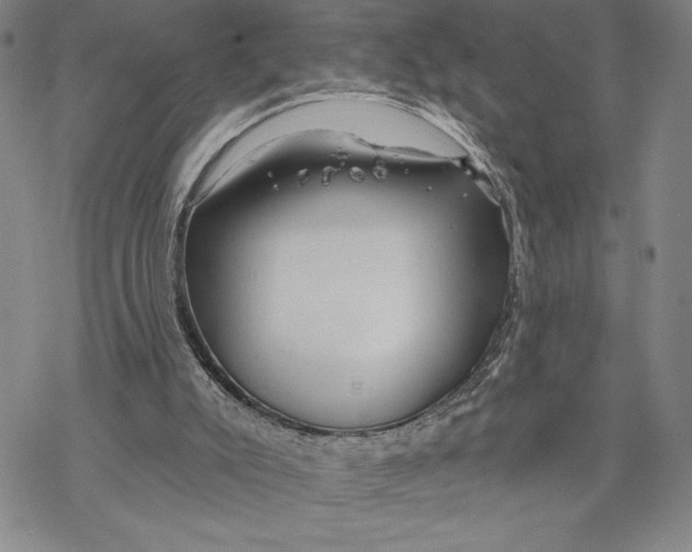 X0000068770007200605191659