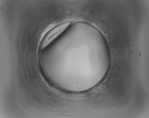 X0000068770008200605191659