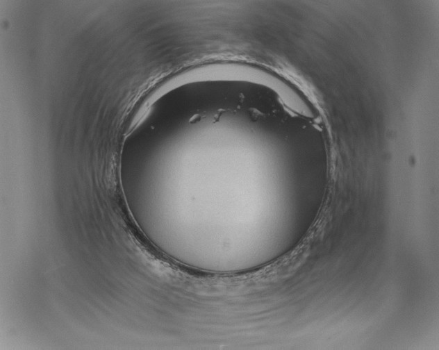 X0000068770009200605191659