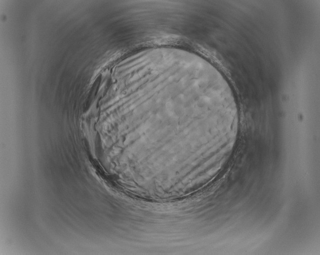 X0000068770010200605191659