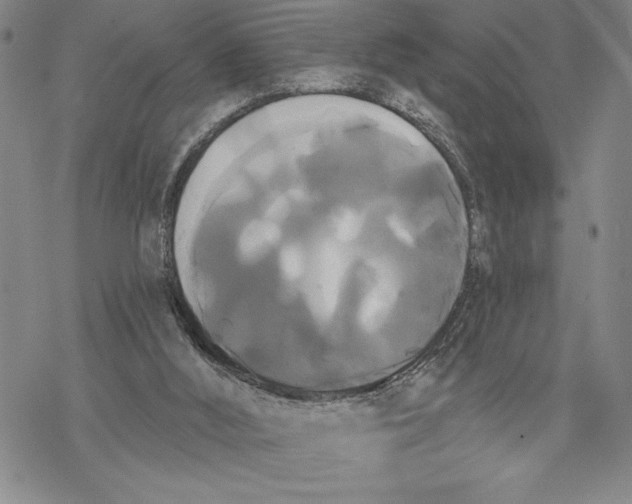 X0000068770012200605191659