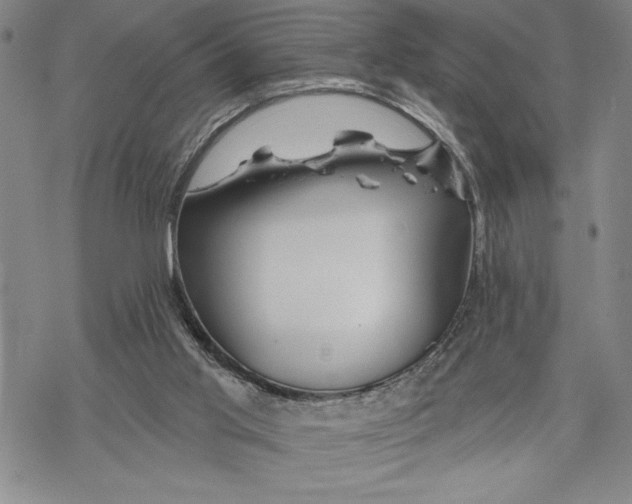 X0000068770013200605191659