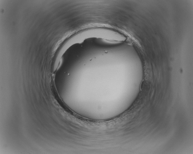 X0000068770015200605191659