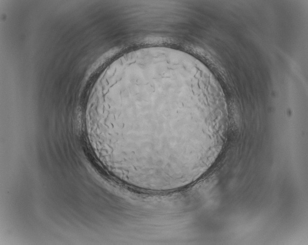 X0000068770016200605191659