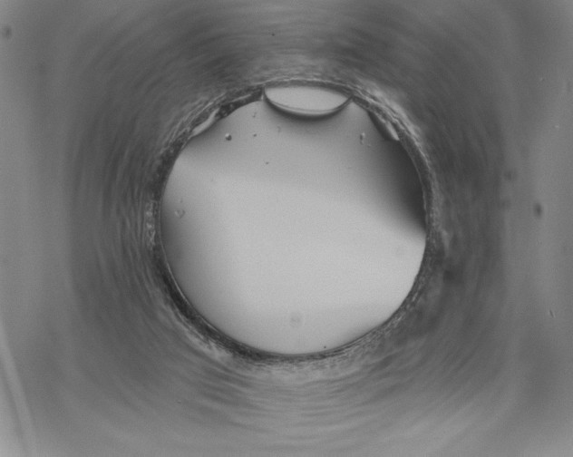 X0000068770017200605191659