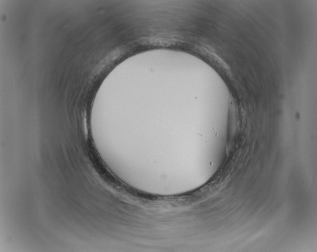 X0000068770020200605191659