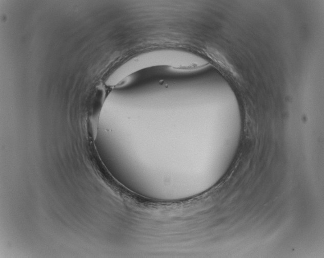 X0000068770021200605191659