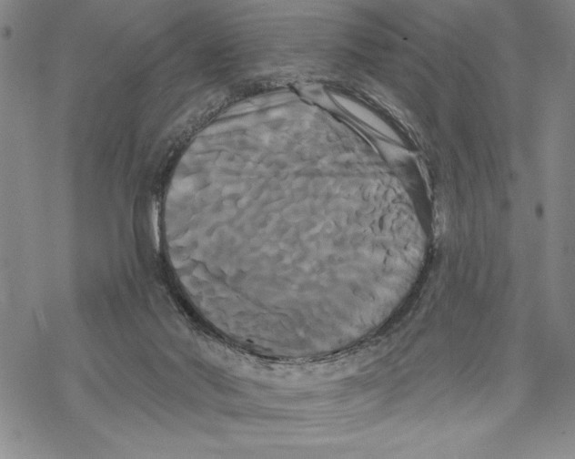 X0000068770022200605191659