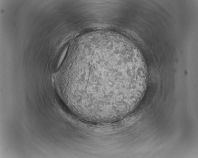 X0000068770024200605191659