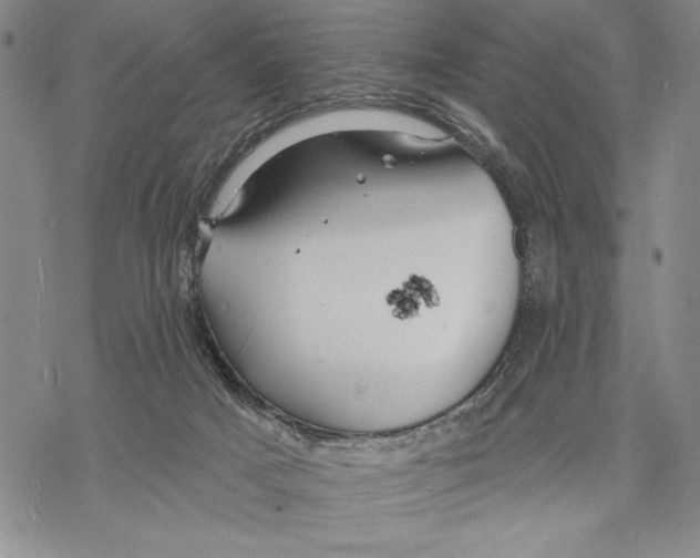 X0000068770025200605191659