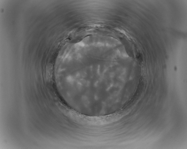 X0000068770030200605191659