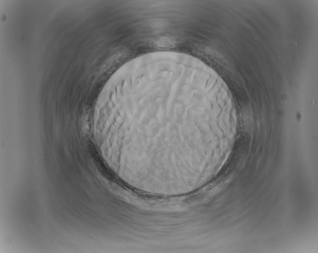 X0000068770032200605191659