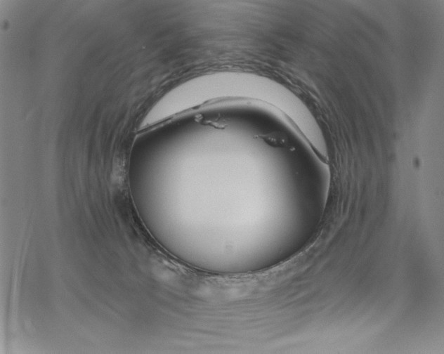 X0000068770033200605191659