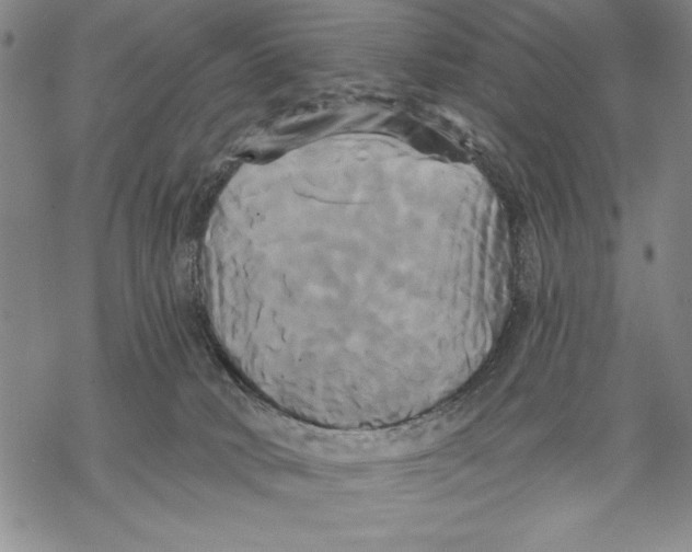 X0000068770034200605191659