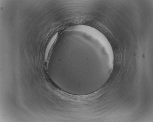 X0000068770035200605191659