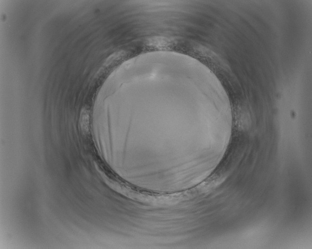 X0000068770036200605191659