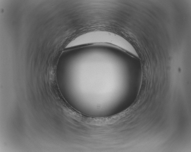 X0000068770037200605191659