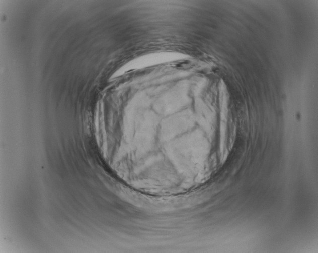 X0000068770038200605191659