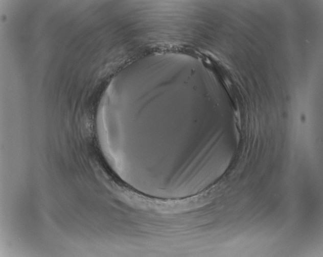 X0000068770039200605191659