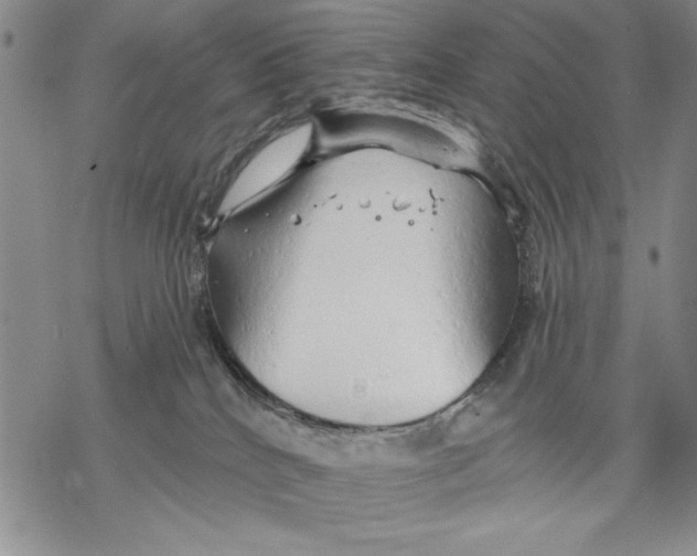 X0000068770040200605191659