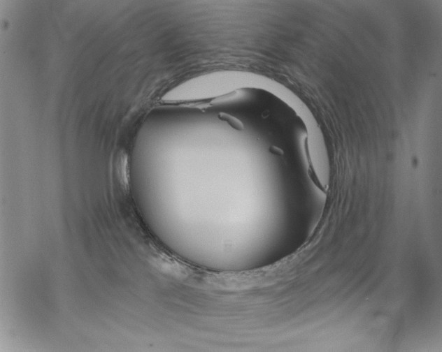 X0000068770041200605191659