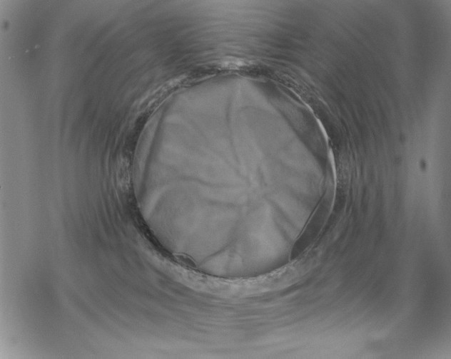 X0000068770043200605191659