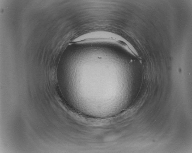 X0000068770044200605191659