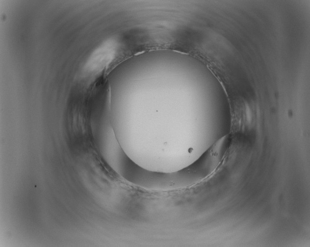 X0000068770045200605191659