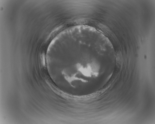 X0000068770046200605191659