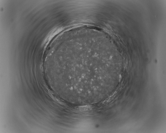 X0000068770050200605191658