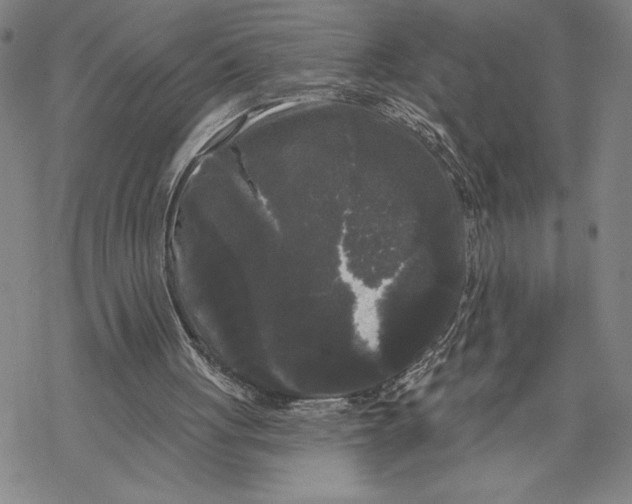 X0000068770051200605191658