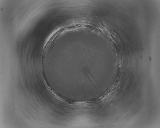 X0000068770052200605191658