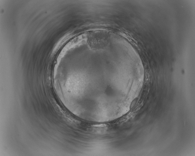 X0000068770053200605191658