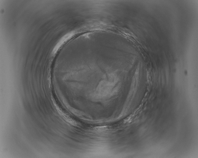 X0000068770054200605191658