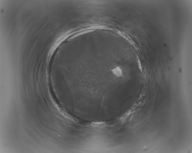 X0000068770055200605191658