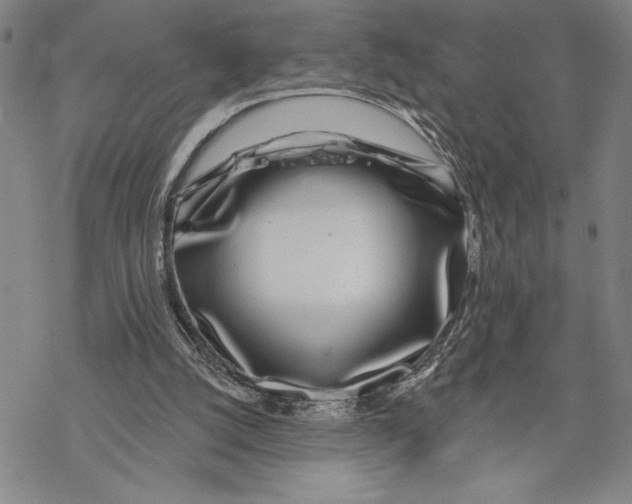 X0000068770056200605191658