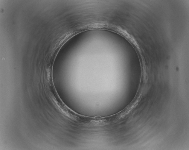 X0000068770057200605191658