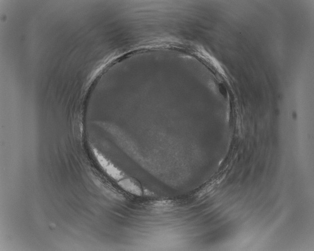 X0000068770059200605191658