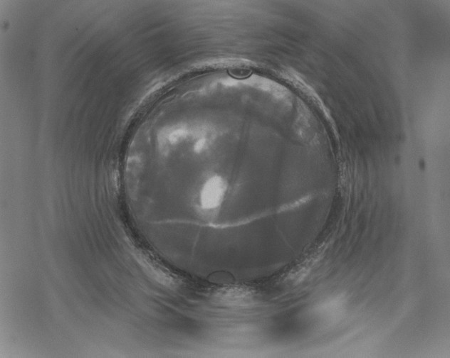 X0000068770063200605191658