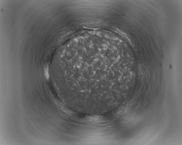 X0000068770069200605191658