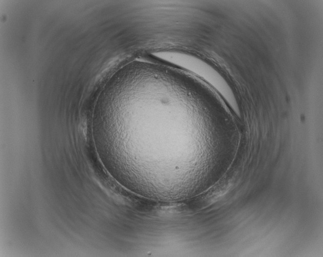 X0000068770072200605191658