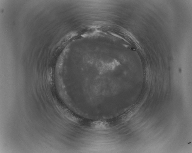 X0000068770073200605191658