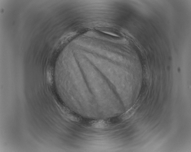 X0000068770074200605191658