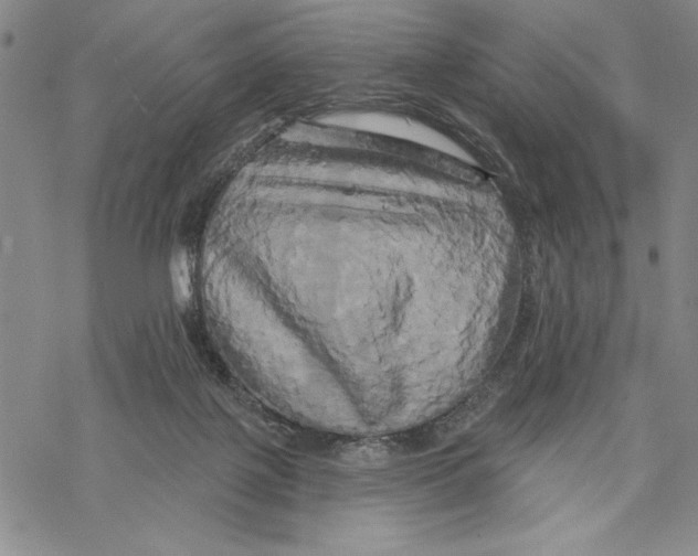 X0000068770075200605191658