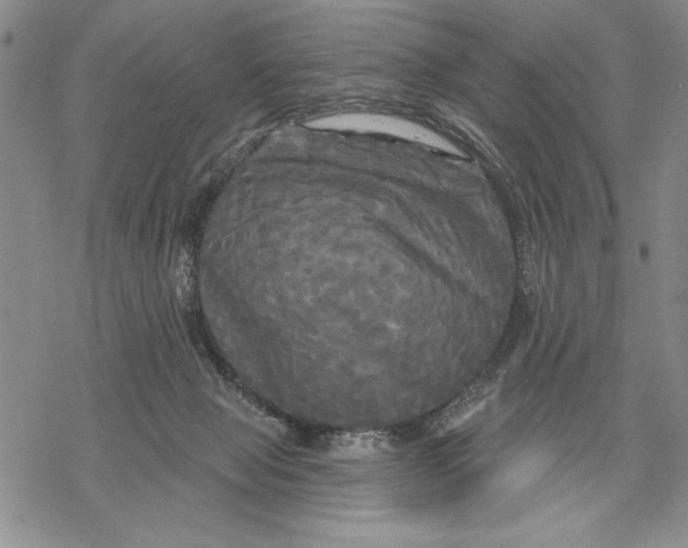 X0000068770077200605191658