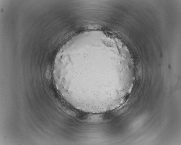 X0000068770078200605191658