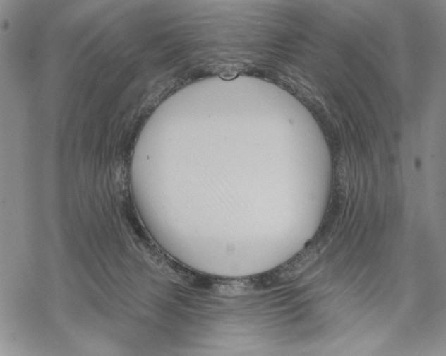 X0000068770079200605191659