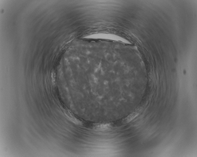 X0000068770081200605191659