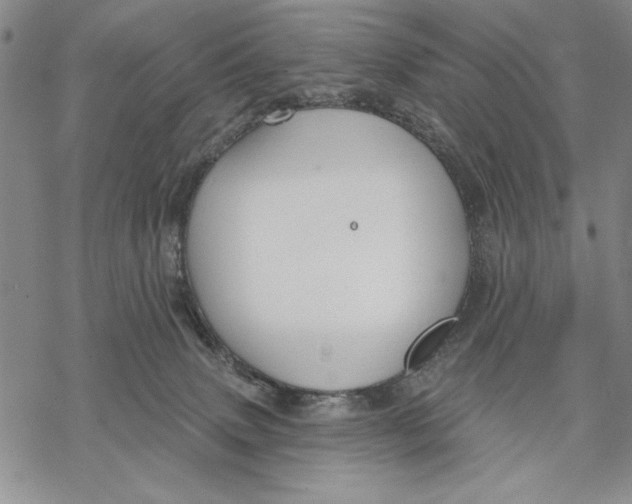 X0000068770083200605191659