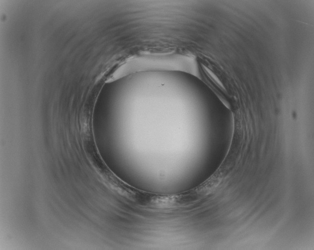 X0000068770084200605191659